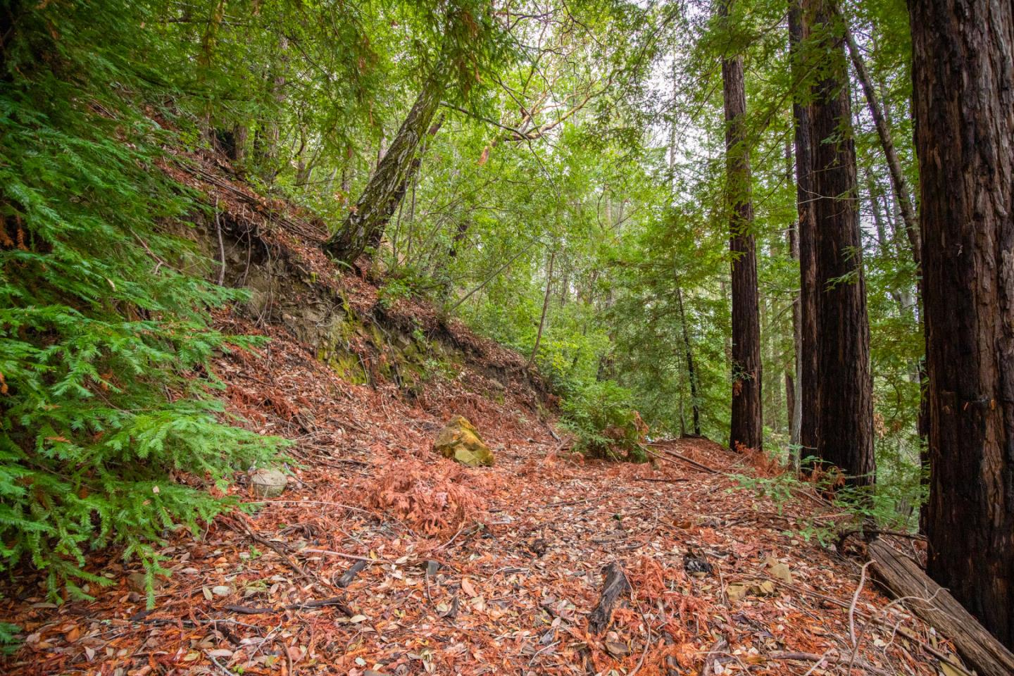 11507 Lakeview Avenue, FELTON, California 95018, ,Lots And Land,For Sale,Lakeview Avenue,40972220