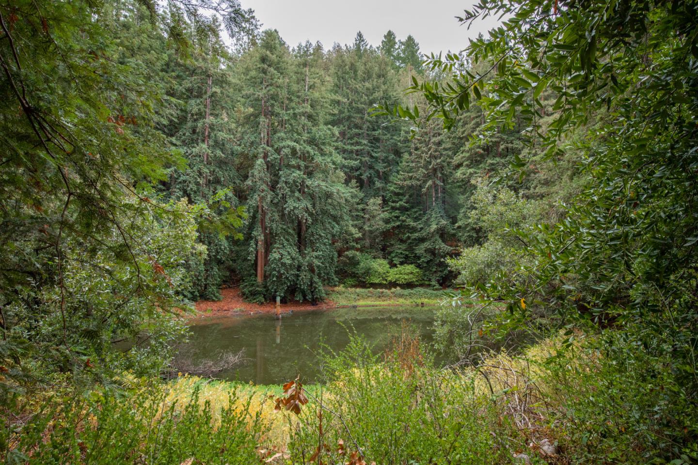 11507 Lakeview Avenue, FELTON, California 95018, ,Lots And Land,For Sale,Lakeview Avenue,40972220