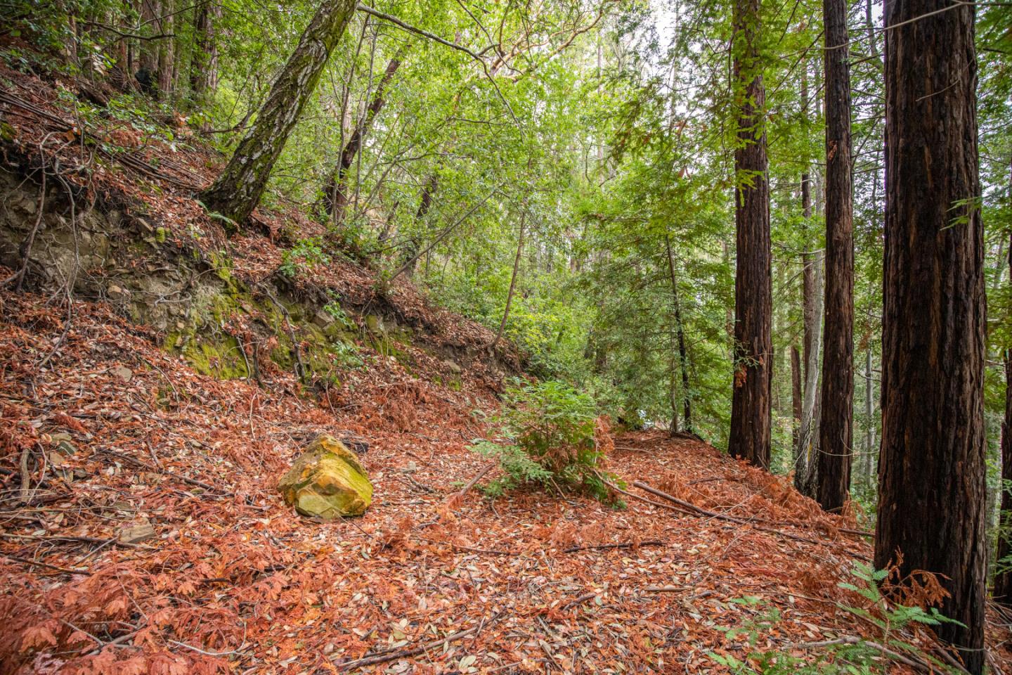 11507 Lakeview Avenue, FELTON, California 95018, ,Lots And Land,For Sale,Lakeview Avenue,40972220