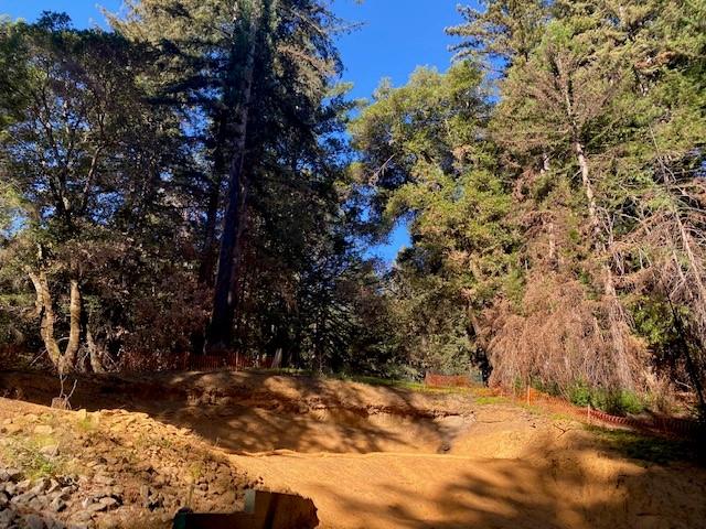 575 Band Road, BOULDER CREEK, California 95006, ,Lots And Land,For Sale,Band Road,40972727