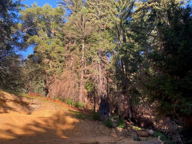 575 Band Road, BOULDER CREEK, California 95006, ,Lots And Land,For Sale,Band Road,40972727