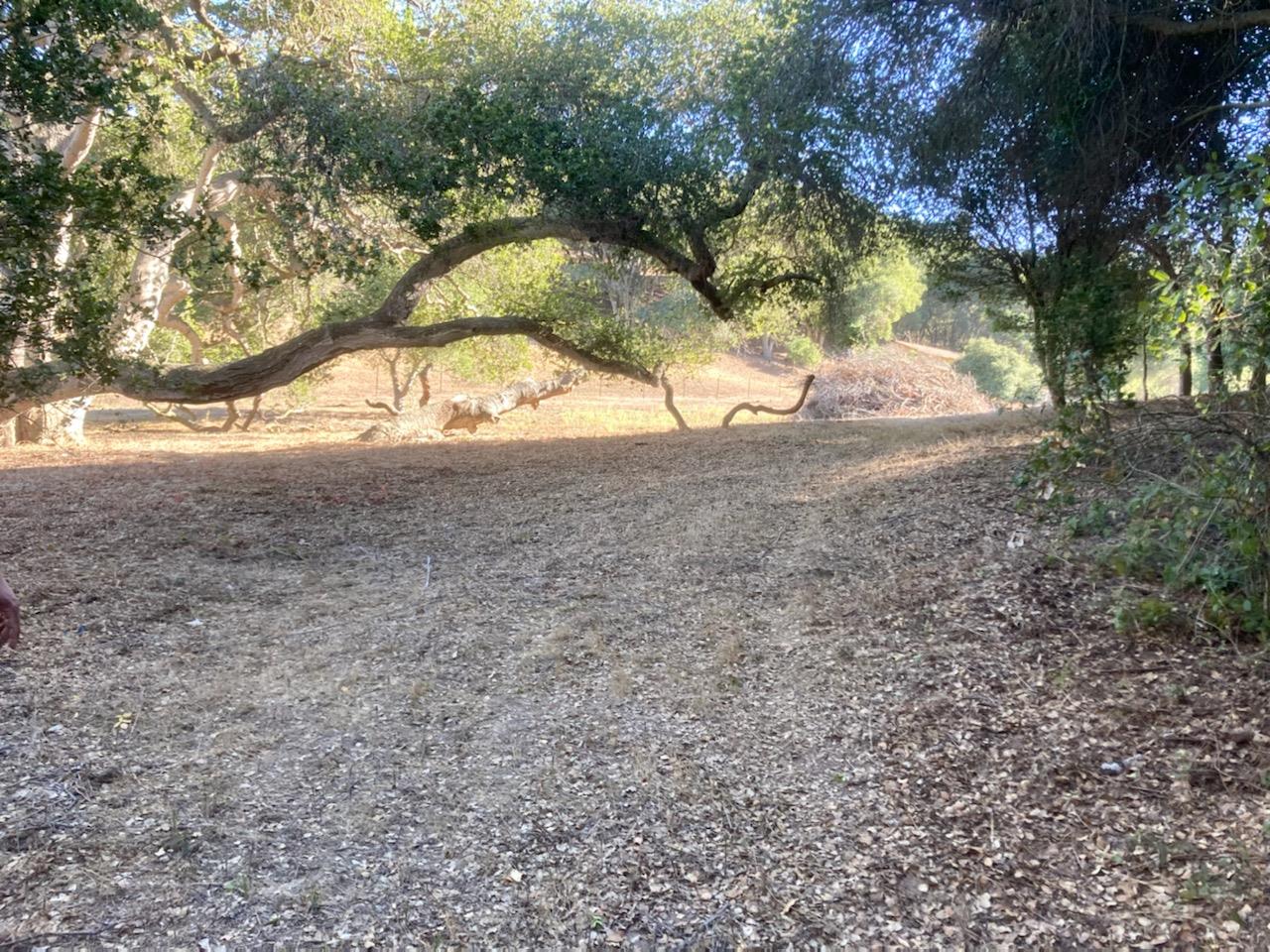 7346 Walker Valley, CASTROVILLE, California 95012, ,Lots And Land,For Sale,Walker Valley,40972309