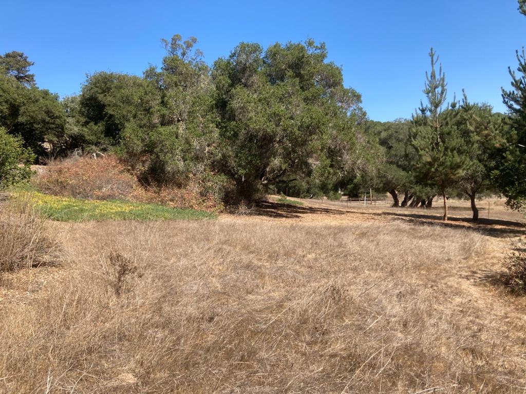 7346 Walker Valley, CASTROVILLE, California 95012, ,Lots And Land,For Sale,Walker Valley,40972309