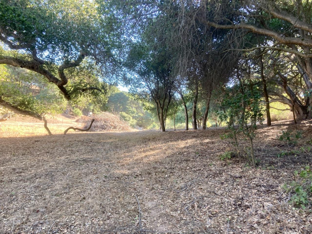 7346 Walker Valley, CASTROVILLE, California 95012, ,Lots And Land,For Sale,Walker Valley,40972309