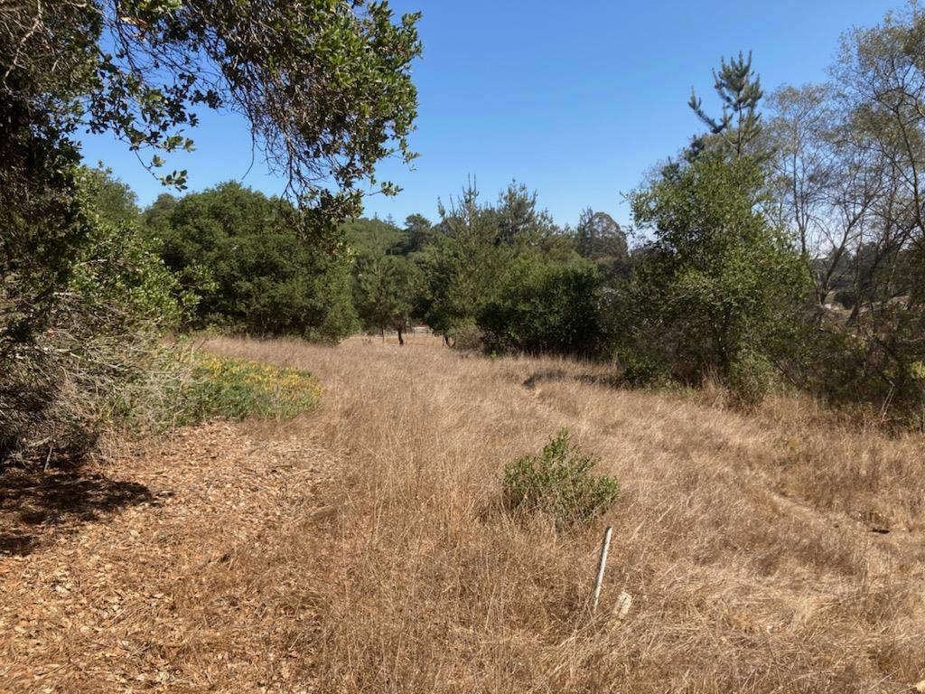 7346 Walker Valley, CASTROVILLE, California 95012, ,Lots And Land,For Sale,Walker Valley,40972309