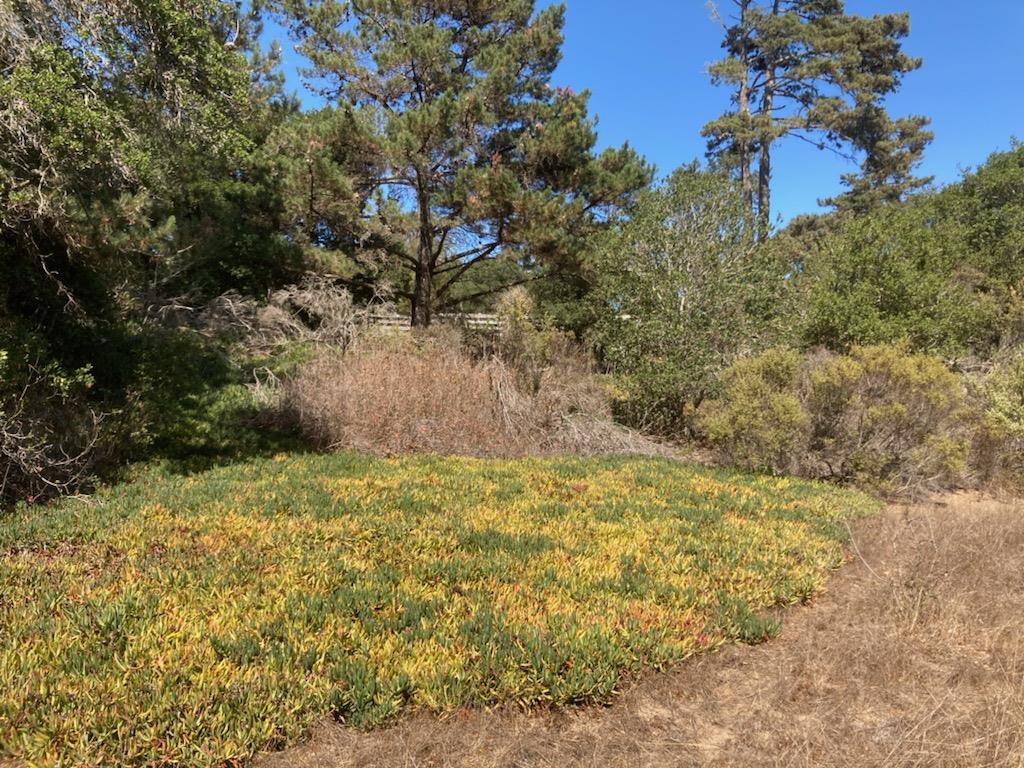 7346 Walker Valley, CASTROVILLE, California 95012, ,Lots And Land,For Sale,Walker Valley,40972309