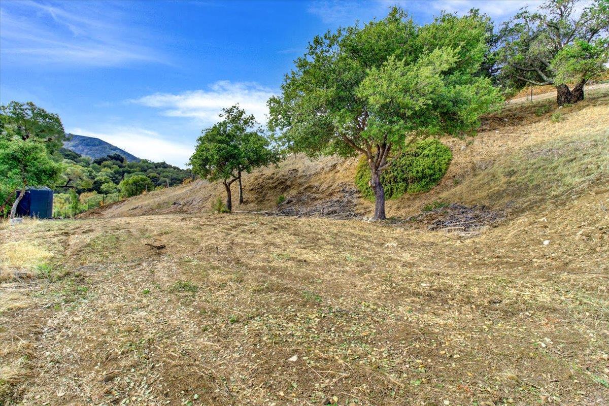 0 Shannon Road, LOS GATOS, California 95032, ,Lots And Land,For Sale,Shannon Road,40972728