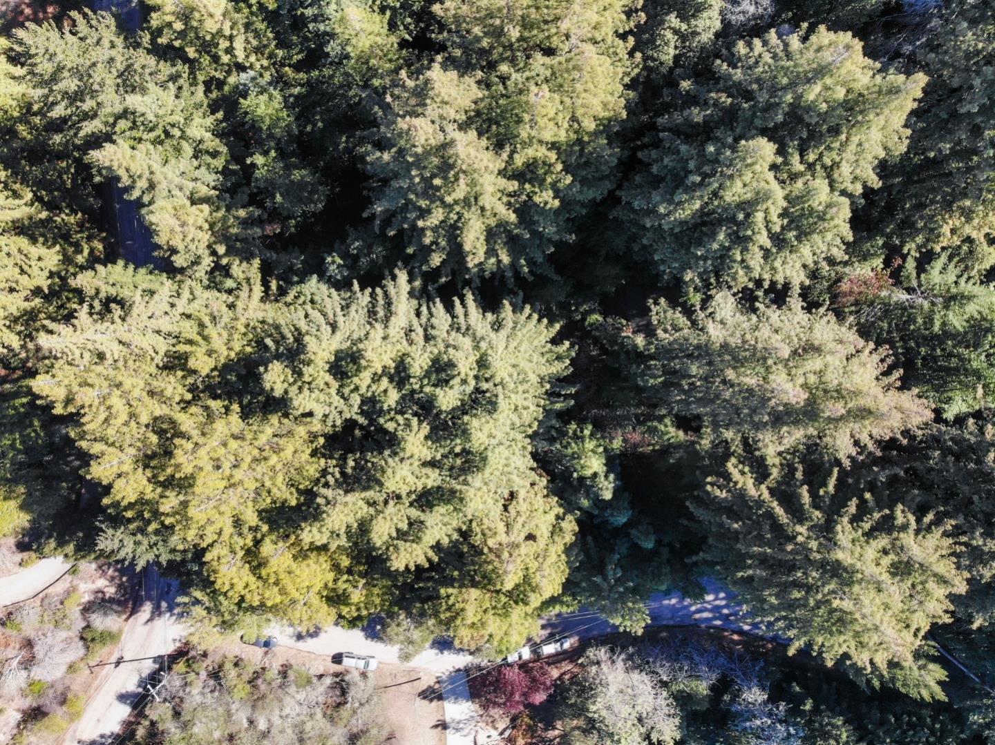 Lot '-09 Nina Drive, BOULDER CREEK, California 95006, ,Lots And Land,For Sale,Nina Drive,40972731