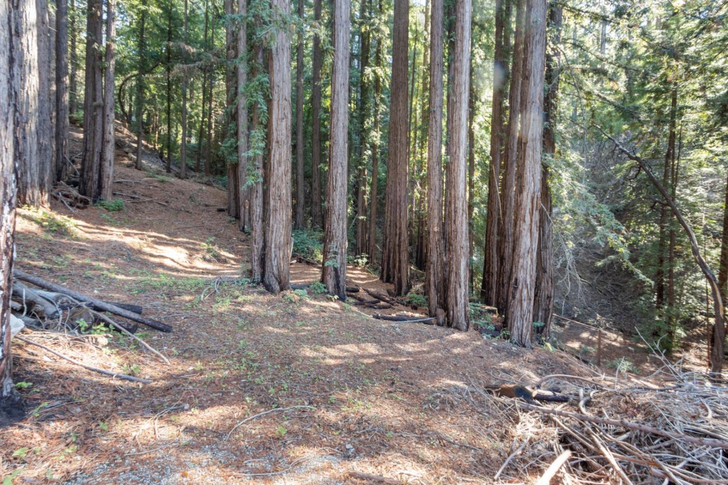 Lot '-09 Nina Drive, BOULDER CREEK, California 95006, ,Lots And Land,For Sale,Nina Drive,40972731
