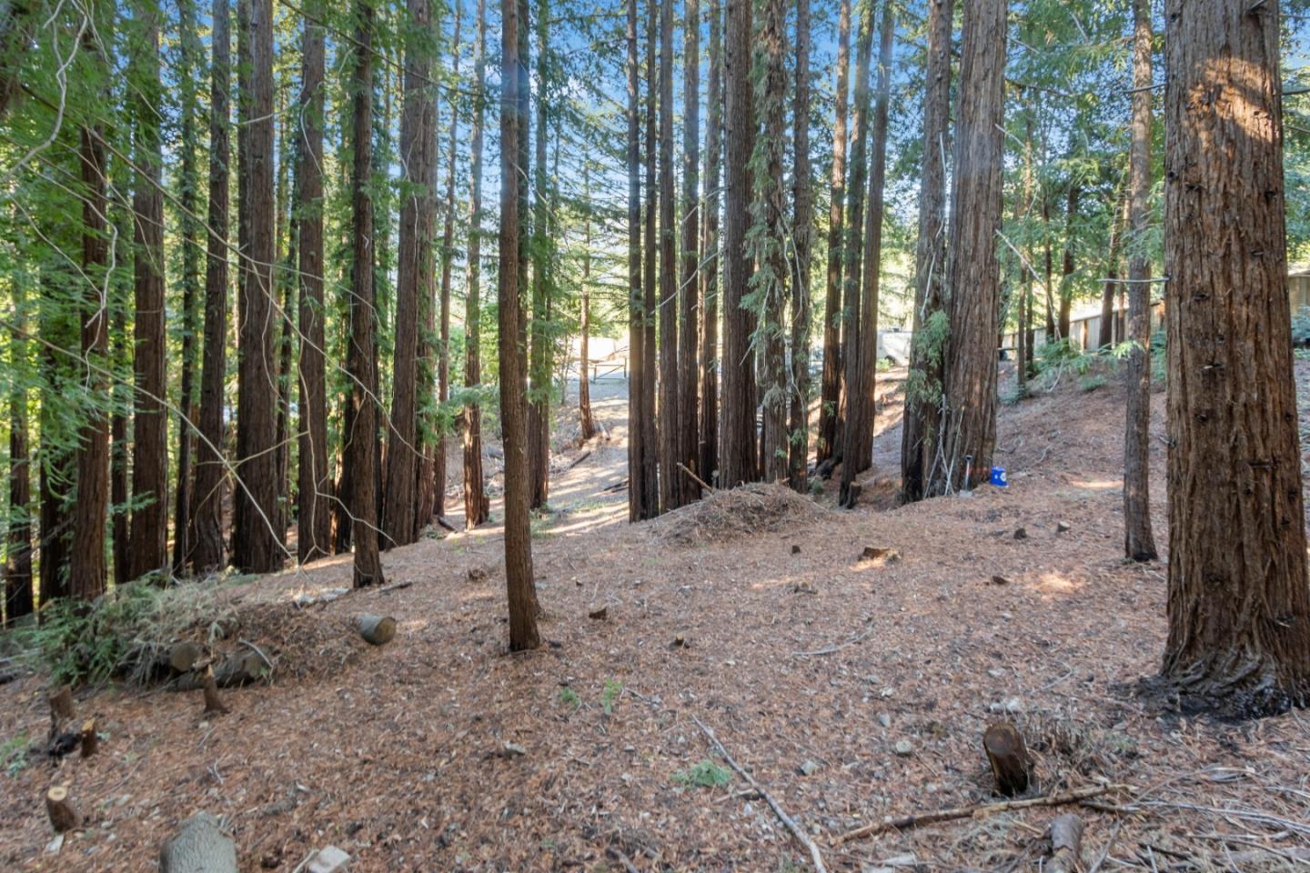 Lot '-09 Nina Drive, BOULDER CREEK, California 95006, ,Lots And Land,For Sale,Nina Drive,40972731