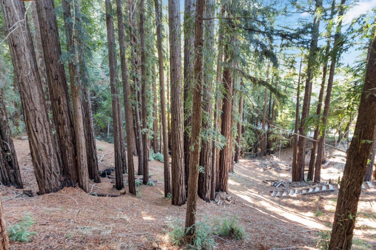 Lot '-09 Nina Drive, BOULDER CREEK, California 95006, ,Lots And Land,For Sale,Nina Drive,40972731