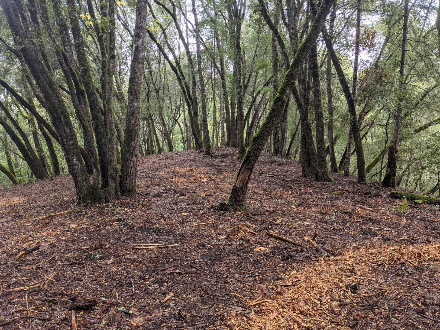 0 Alpine Road, LA HONDA, California 94020, ,Lots And Land,For Sale,Alpine Road,40972900