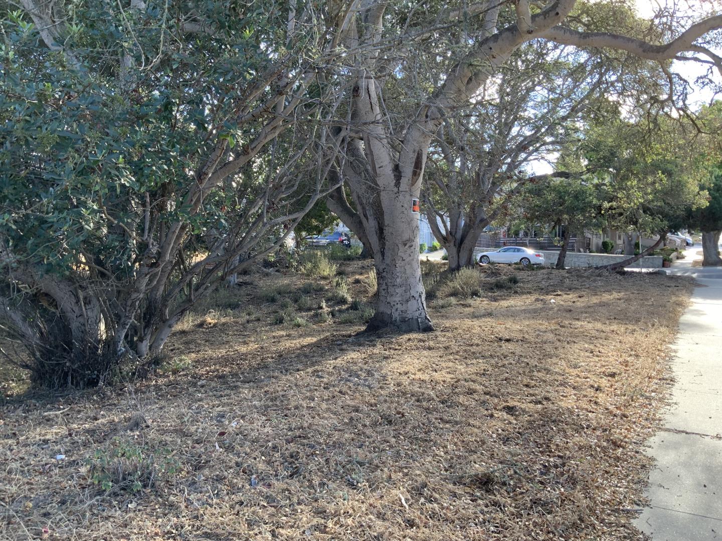 398 Belden Street, MONTEREY, California 93940, ,Lots And Land,For Sale,Belden Street,40972905
