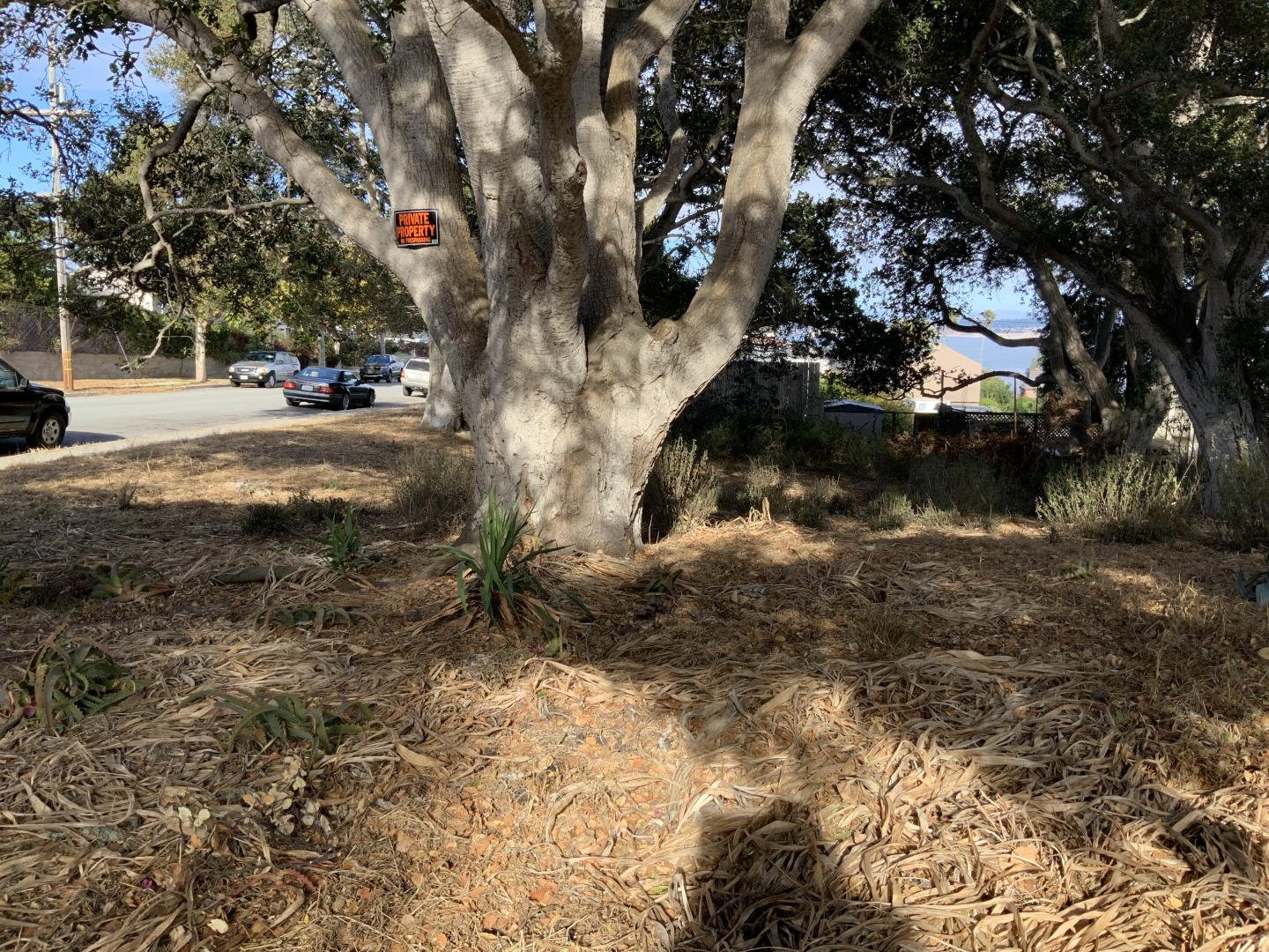 398 Belden Street, MONTEREY, California 93940, ,Lots And Land,For Sale,Belden Street,40972905