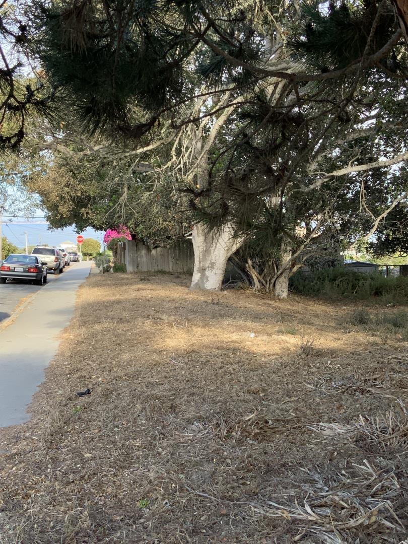398 Belden Street, MONTEREY, California 93940, ,Lots And Land,For Sale,Belden Street,40972905