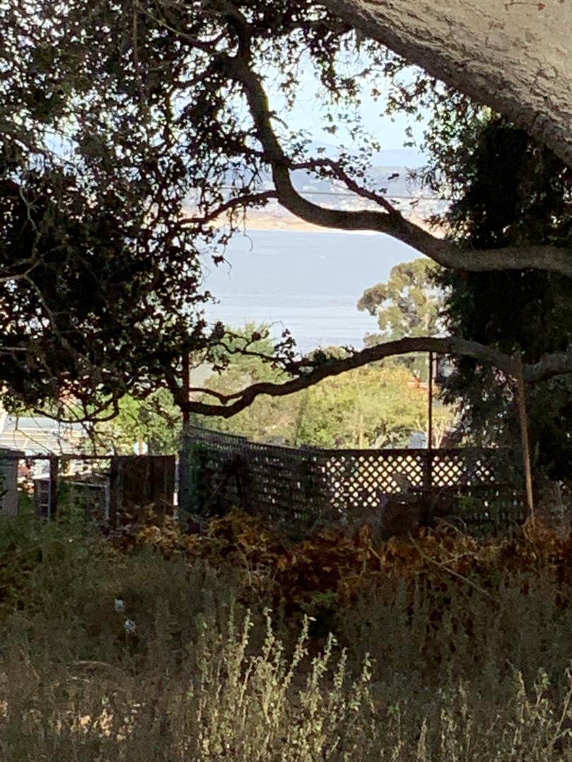 398 Belden Street, MONTEREY, California 93940, ,Lots And Land,For Sale,Belden Street,40972905
