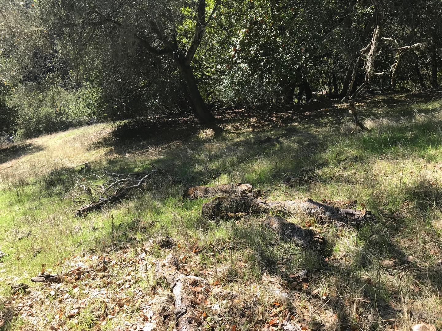4224 Jefferson Avenue, WOODSIDE, California 94062, ,Lots And Land,For Sale,Jefferson Avenue,40972908