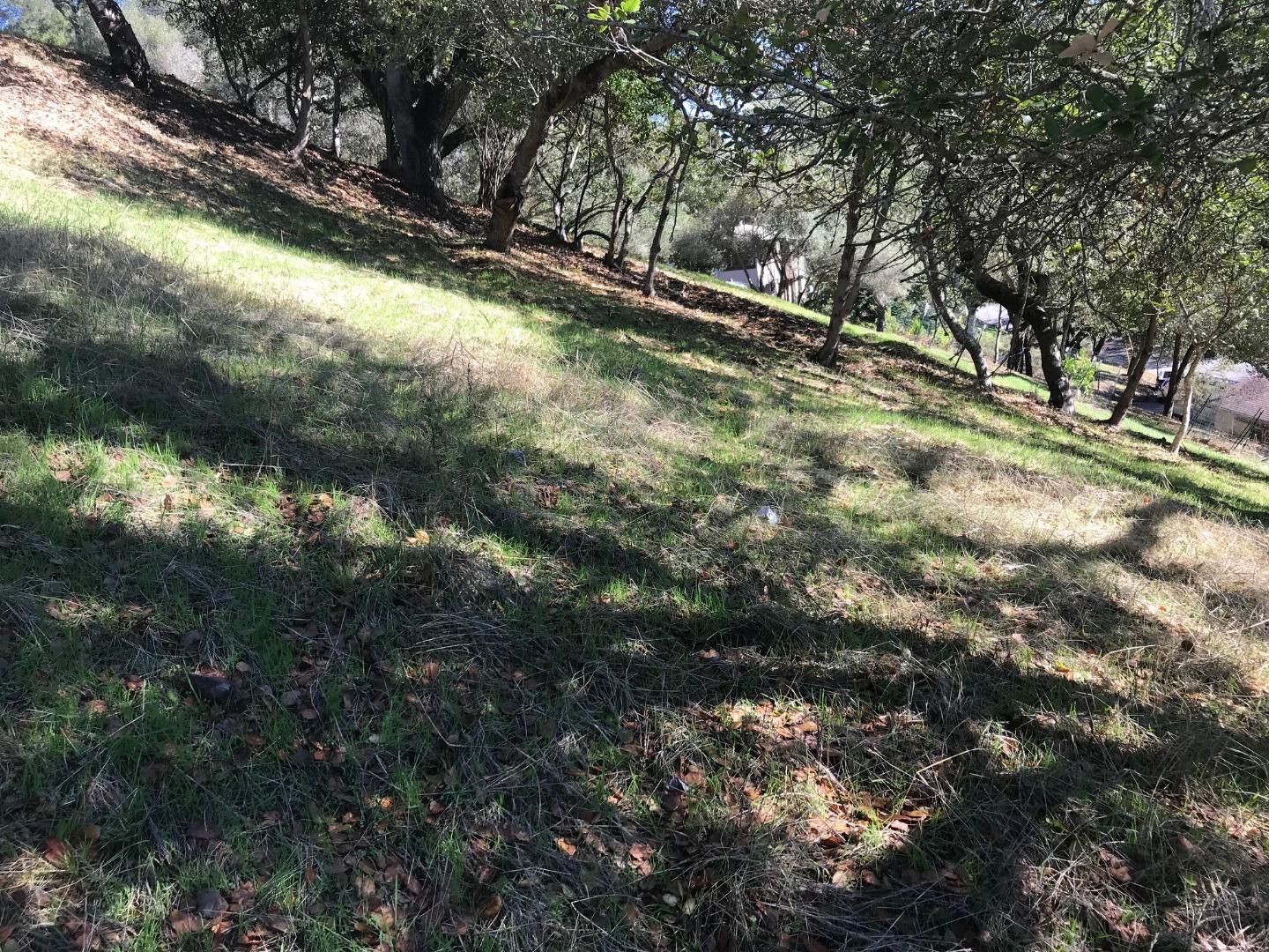 4224 Jefferson Avenue, WOODSIDE, California 94062, ,Lots And Land,For Sale,Jefferson Avenue,40972908