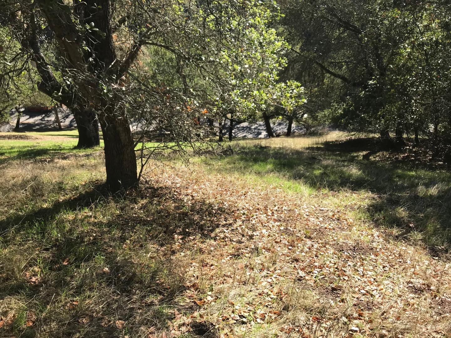 4224 Jefferson Avenue, WOODSIDE, California 94062, ,Lots And Land,For Sale,Jefferson Avenue,40972908