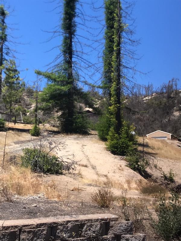 1300 Pinecrest Drive, BOULDER CREEK, California 95006, ,Lots And Land,For Sale,Pinecrest Drive,40973286