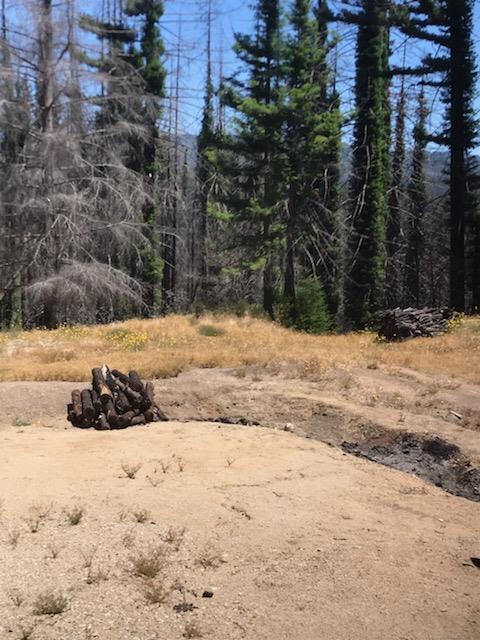 1300 Pinecrest Drive, BOULDER CREEK, California 95006, ,Lots And Land,For Sale,Pinecrest Drive,40973286