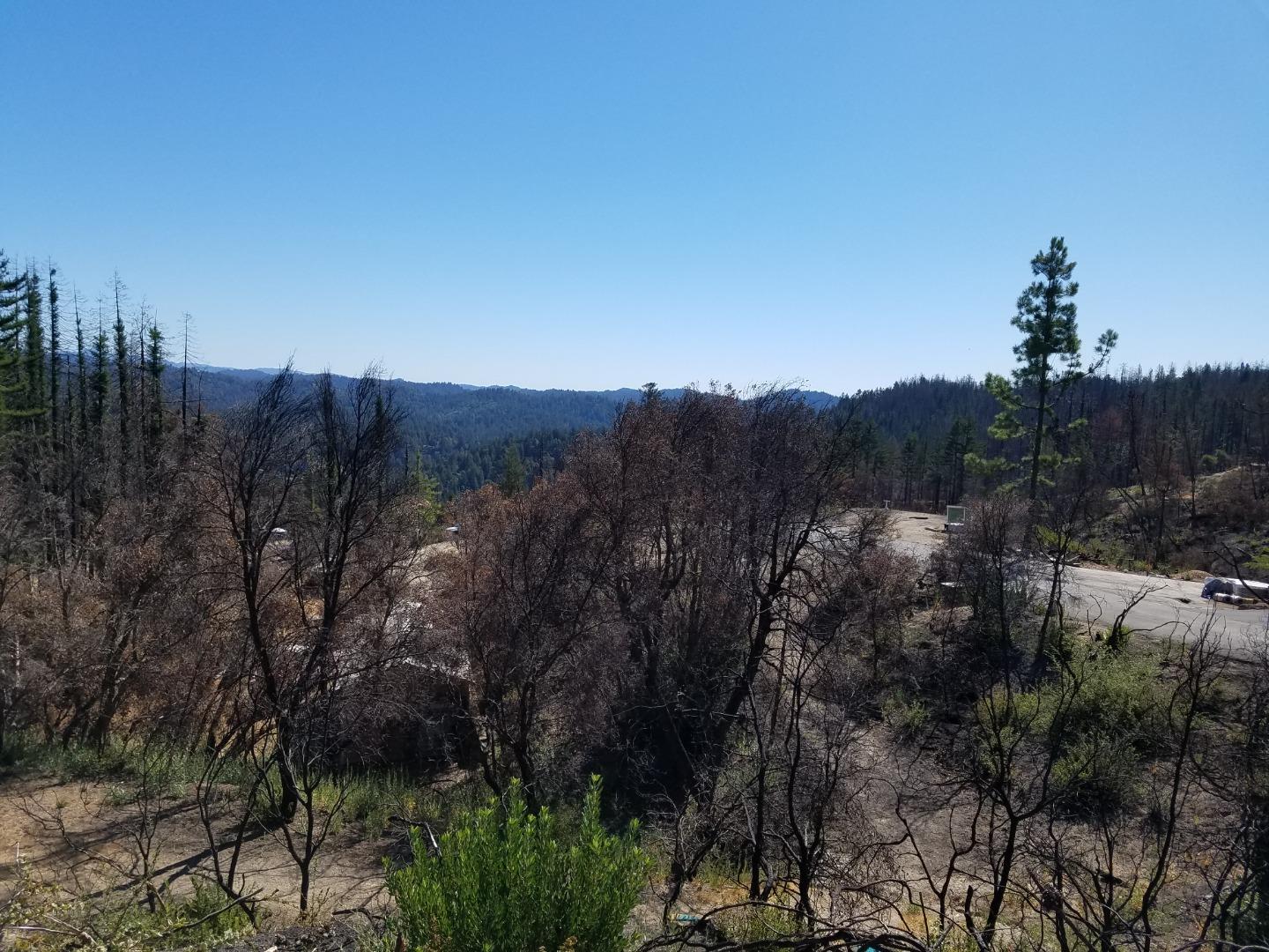 1300 Pinecrest Drive, BOULDER CREEK, California 95006, ,Lots And Land,For Sale,Pinecrest Drive,40973286
