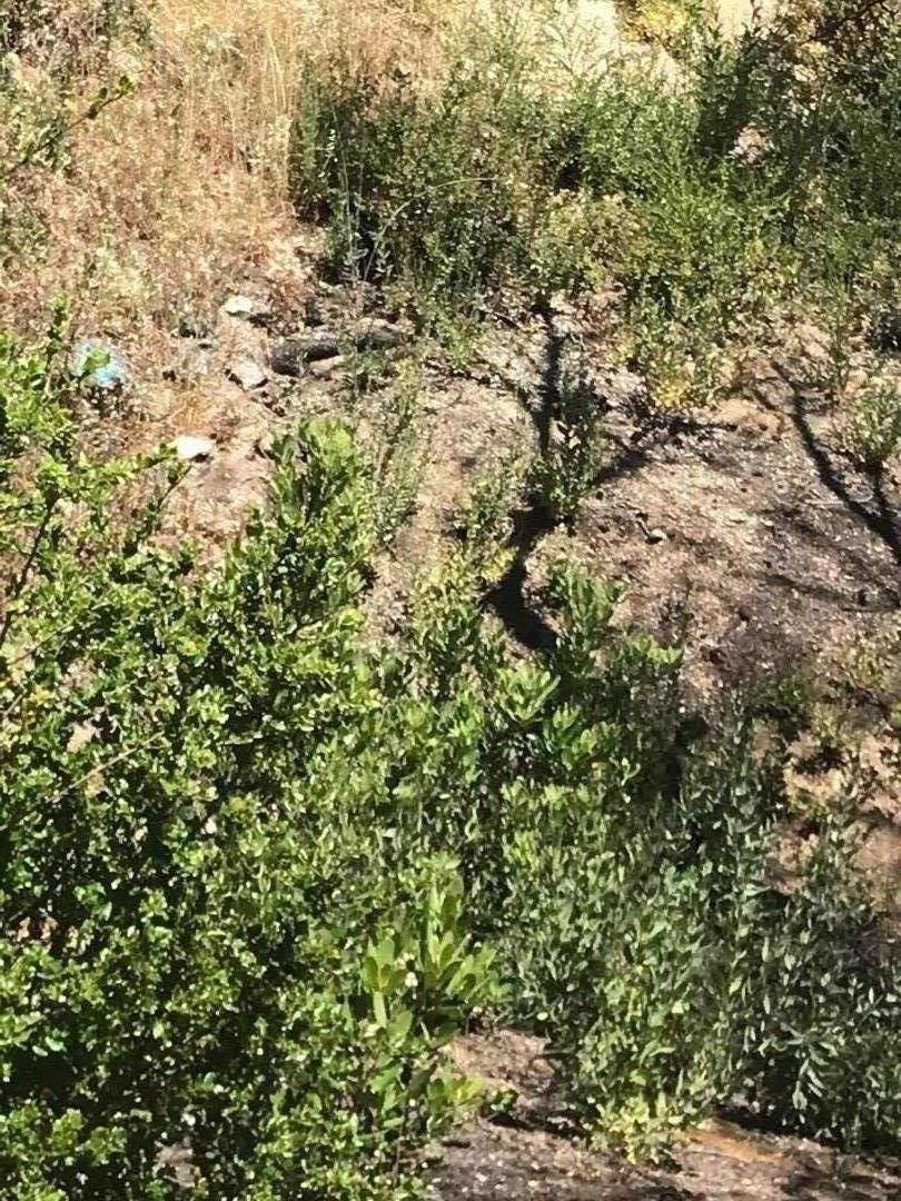 1300 Pinecrest Drive, BOULDER CREEK, California 95006, ,Lots And Land,For Sale,Pinecrest Drive,40973286