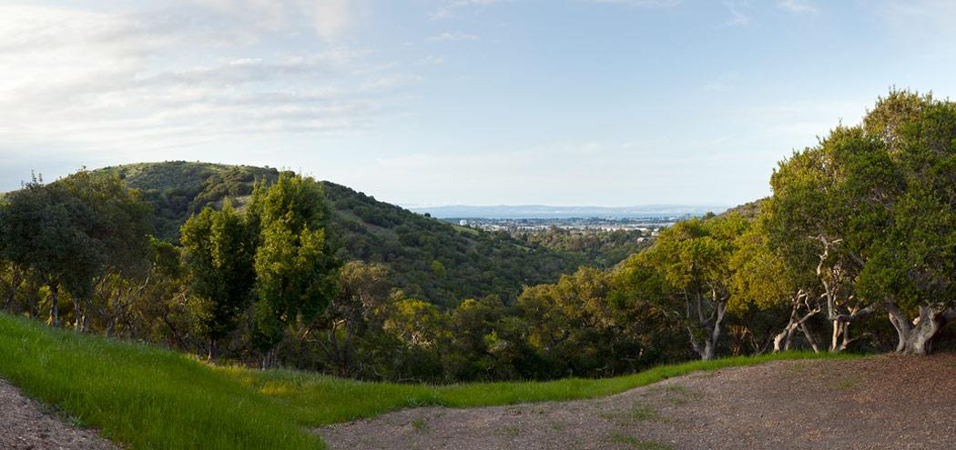 3300 Lower Lock, BELMONT, California 94002, ,Lots And Land,For Sale,Lower Lock,40973294