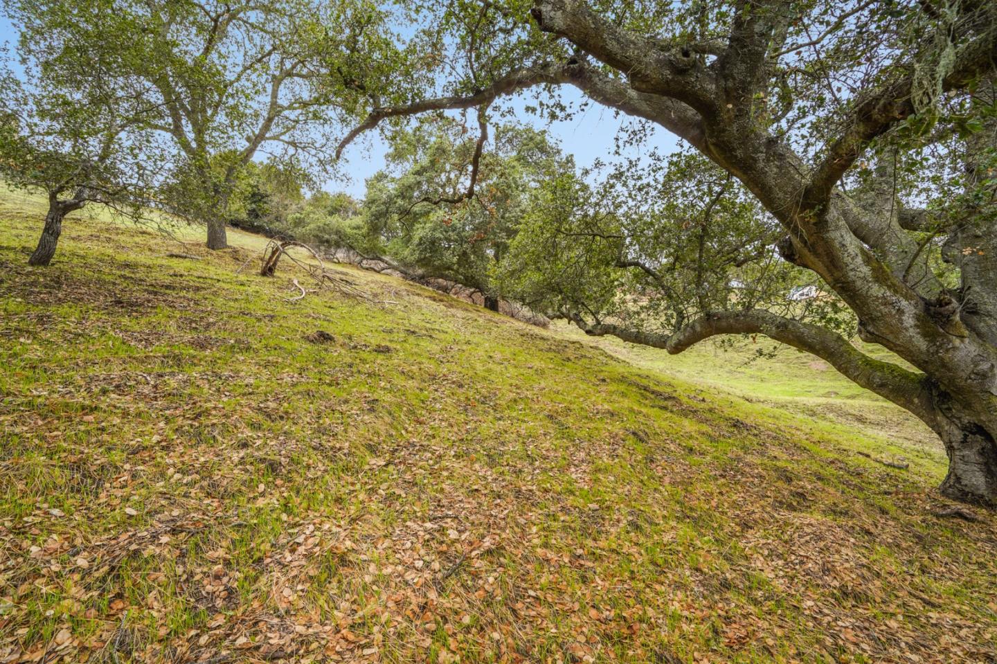 8951 Tea Tree Way, GILROY, California 95020, ,Lots And Land,For Sale,Tea Tree Way,40973295