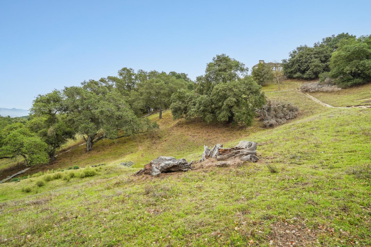 8951 Tea Tree Way, GILROY, California 95020, ,Lots And Land,For Sale,Tea Tree Way,40973295