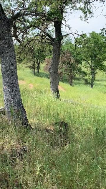 4227 4227 Council Trl, COPPEROPOLIS, California 95228, ,Lots And Land,For Sale,4227 Council Trl,40973297