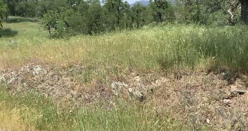 4227 4227 Council Trl, COPPEROPOLIS, California 95228, ,Lots And Land,For Sale,4227 Council Trl,40973297