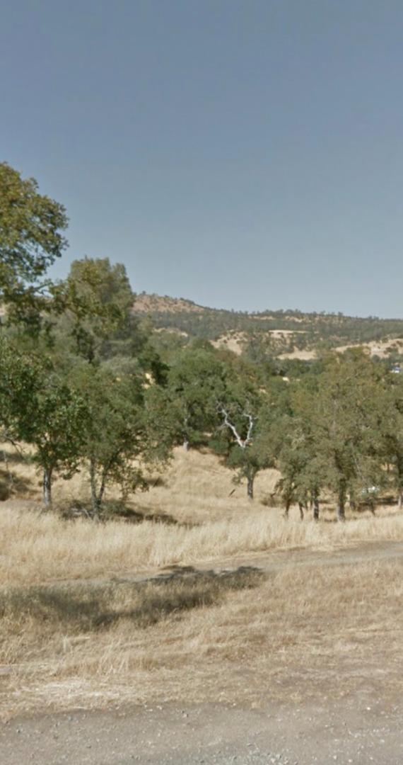 4227 4227 Council Trl, COPPEROPOLIS, California 95228, ,Lots And Land,For Sale,4227 Council Trl,40973297