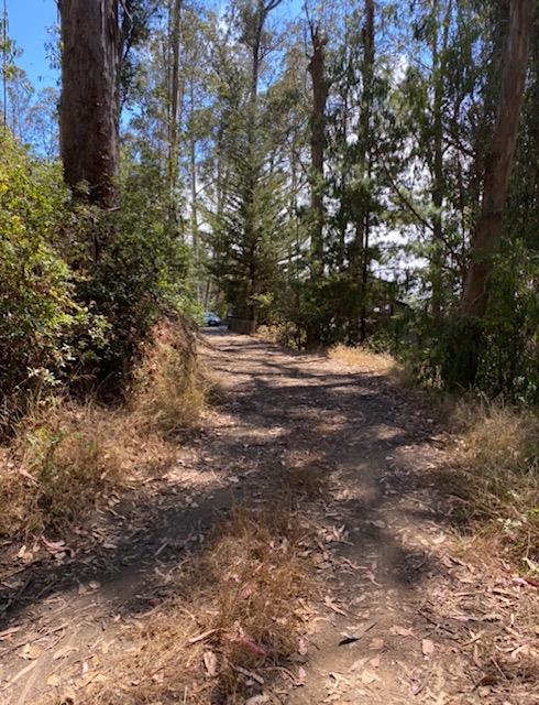 0 Avenue Portola Avenue, EL GRANADA, California 94018, ,Lots And Land,For Sale,Avenue Portola Avenue,40973518