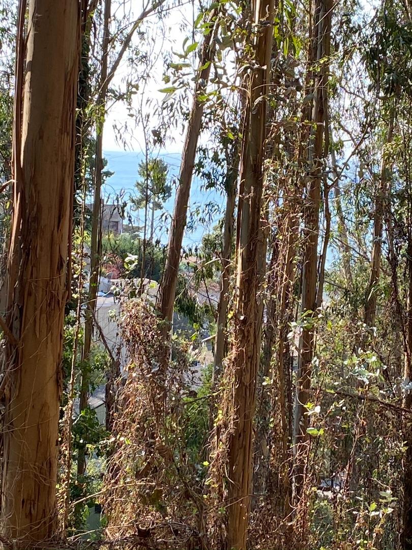 0 Avenue Portola Avenue, EL GRANADA, California 94018, ,Lots And Land,For Sale,Avenue Portola Avenue,40973518