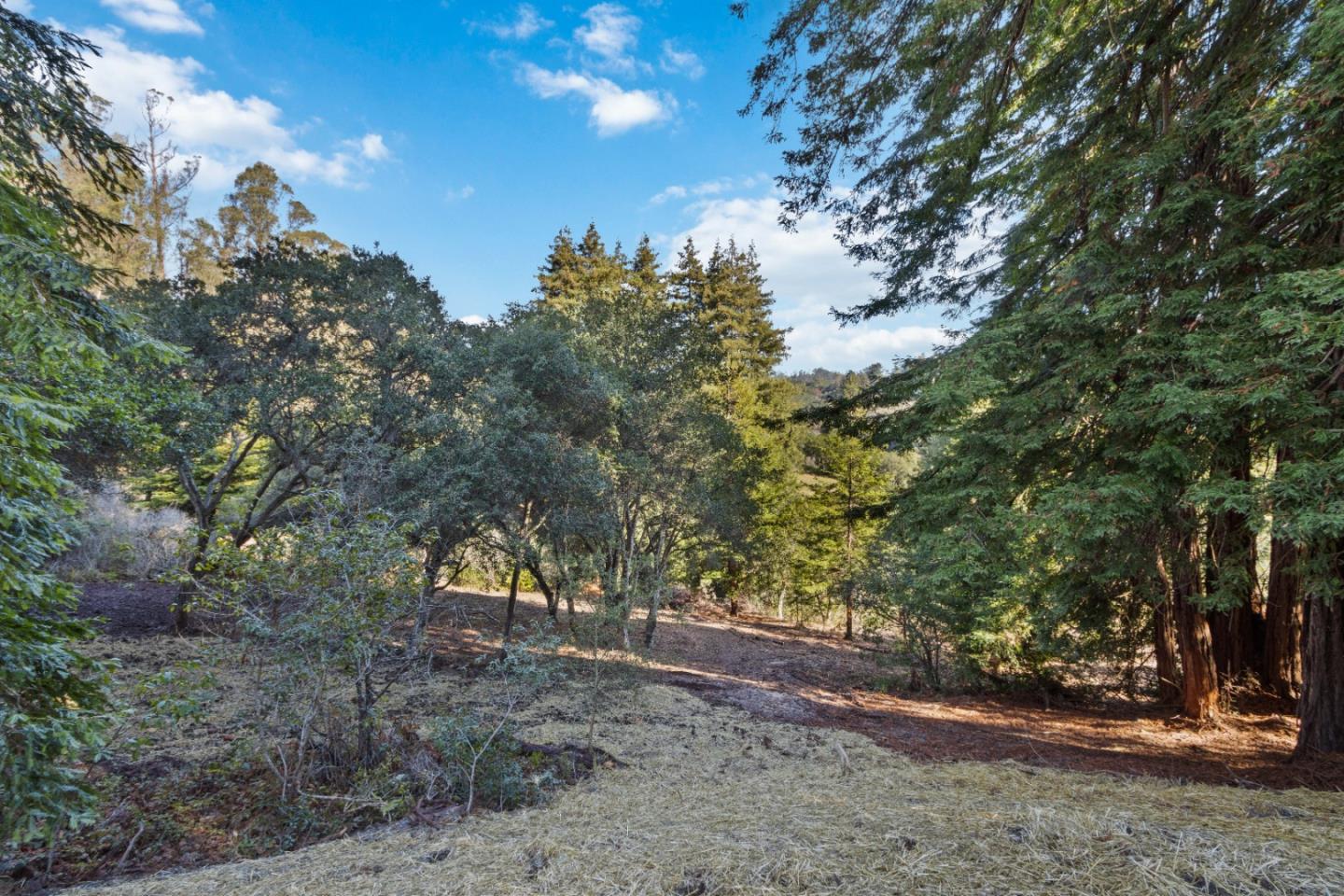 240 Valley Vista Ln, WATSONVILLE, California 95076, ,Lots And Land,For Sale,Valley Vista Ln,40973679