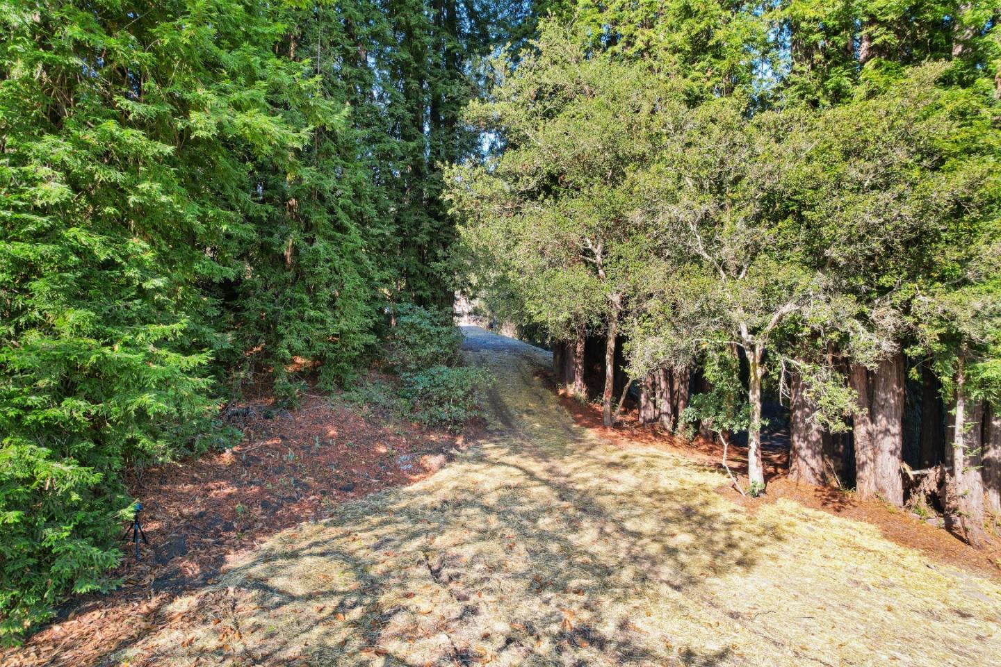 240 Valley Vista Ln, WATSONVILLE, California 95076, ,Lots And Land,For Sale,Valley Vista Ln,40973679