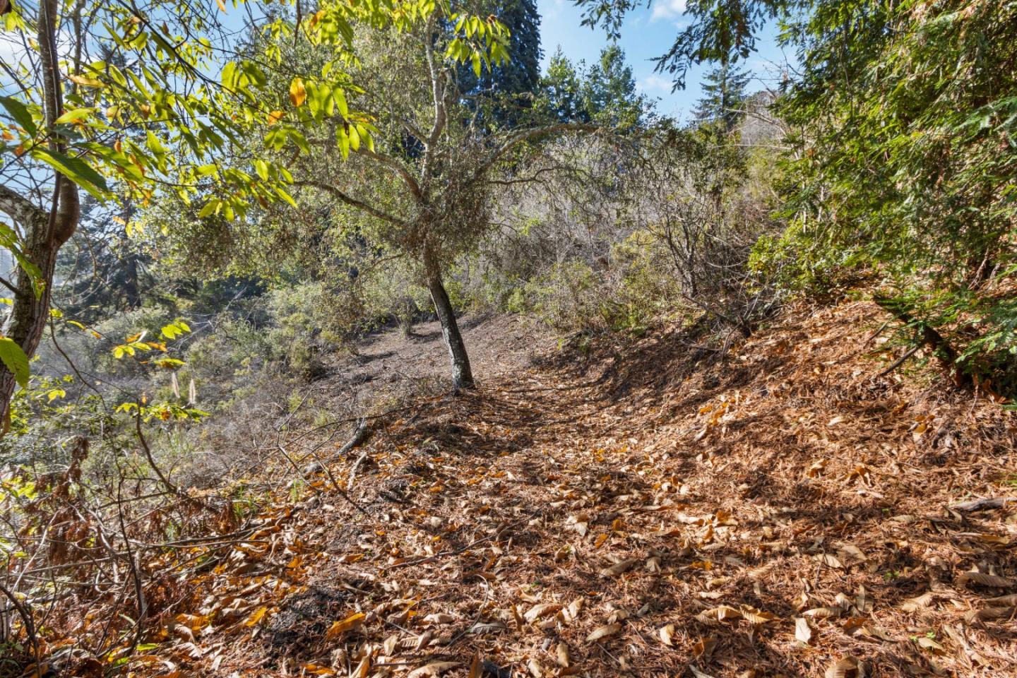 240 Valley Vista Ln, WATSONVILLE, California 95076, ,Lots And Land,For Sale,Valley Vista Ln,40973679