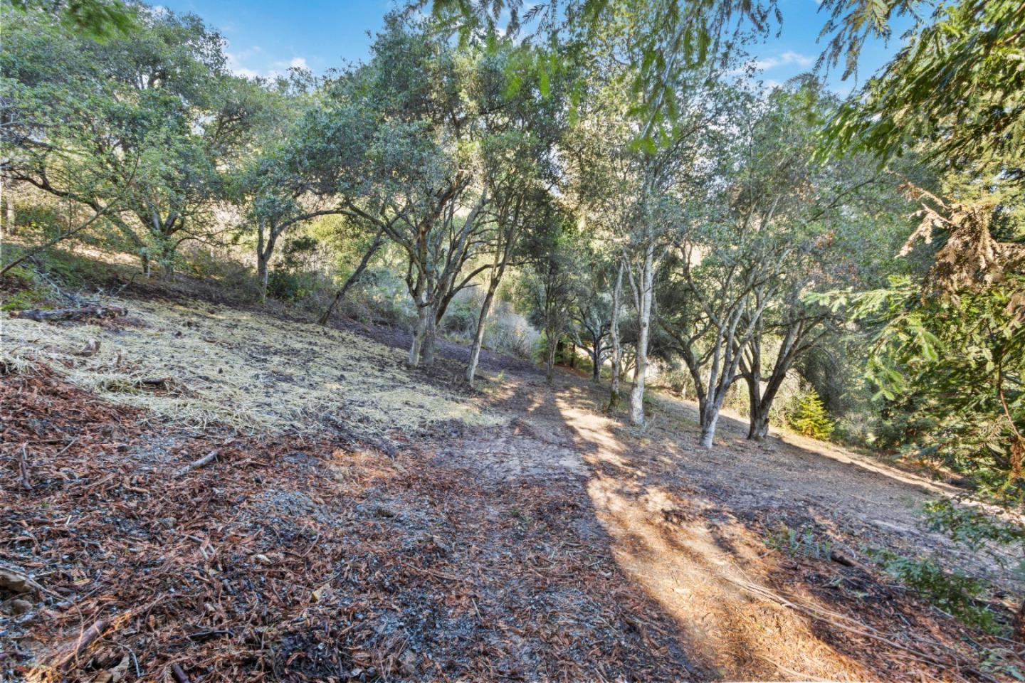 240 Valley Vista Ln, WATSONVILLE, California 95076, ,Lots And Land,For Sale,Valley Vista Ln,40973679