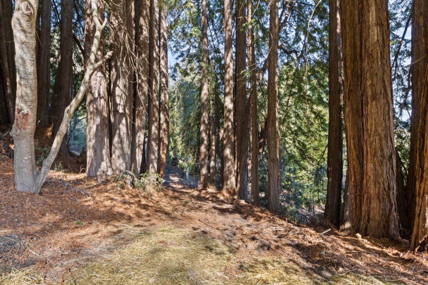 240 Valley Vista Ln, WATSONVILLE, California 95076, ,Lots And Land,For Sale,Valley Vista Ln,40973679