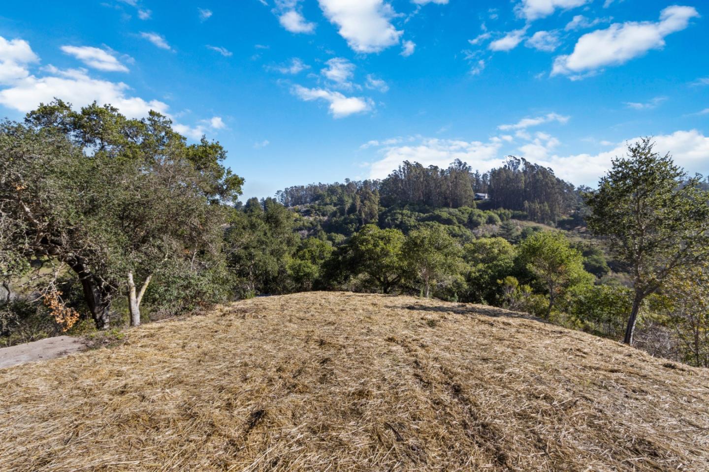 240 Valley Vista Ln, WATSONVILLE, California 95076, ,Lots And Land,For Sale,Valley Vista Ln,40973679