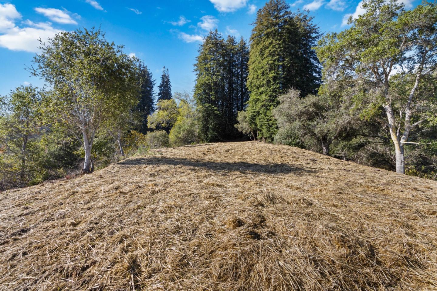 240 Valley Vista Ln, WATSONVILLE, California 95076, ,Lots And Land,For Sale,Valley Vista Ln,40973679