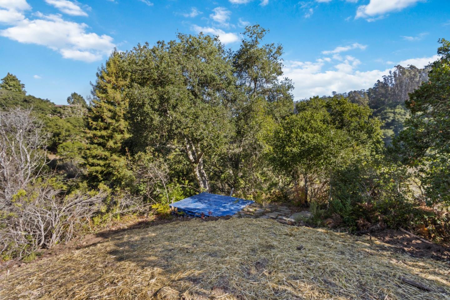240 Valley Vista Ln, WATSONVILLE, California 95076, ,Lots And Land,For Sale,Valley Vista Ln,40973679