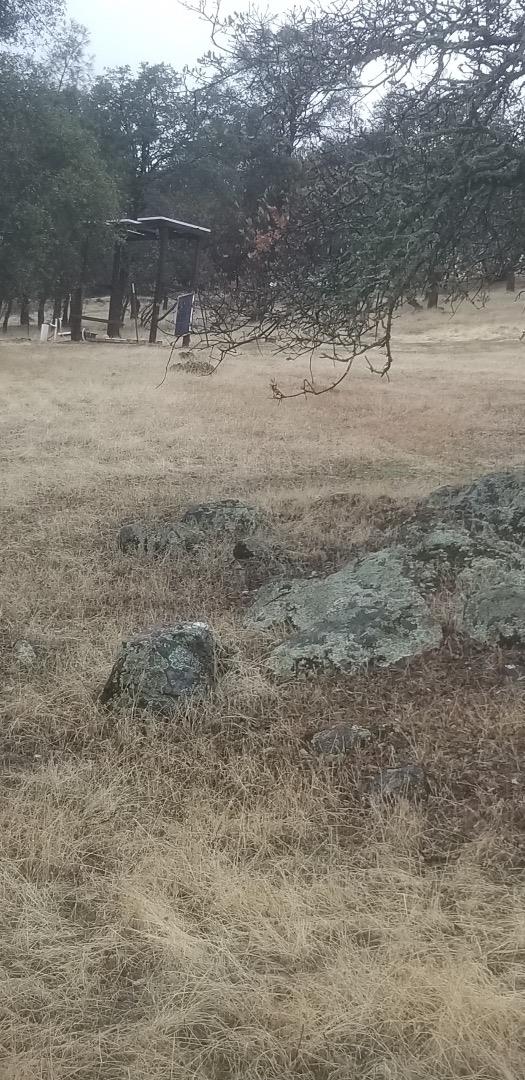 0 Avacado, BANGOR, California 95914, ,Lots And Land,For Sale,Avacado,40973686