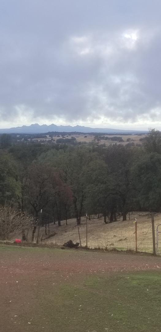 0 Avacado, BANGOR, California 95914, ,Lots And Land,For Sale,Avacado,40973686