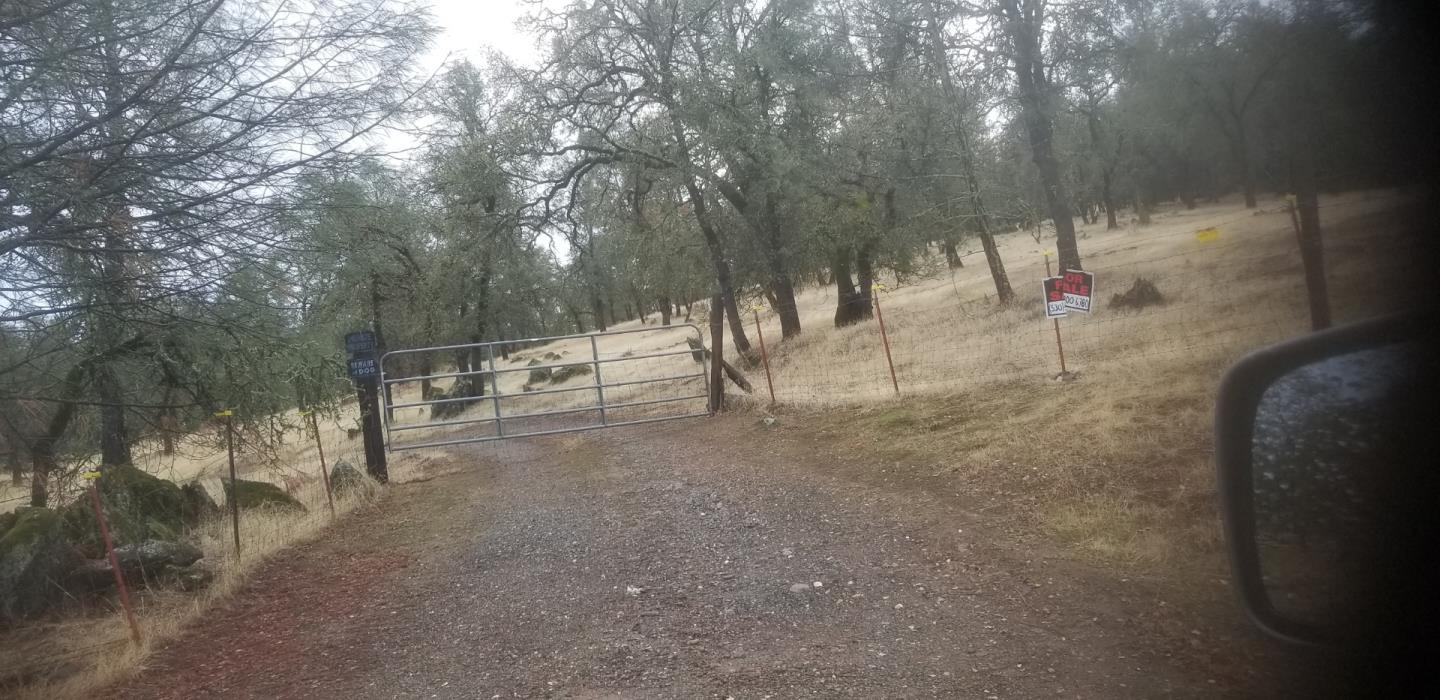 0 Avacado, BANGOR, California 95914, ,Lots And Land,For Sale,Avacado,40973686