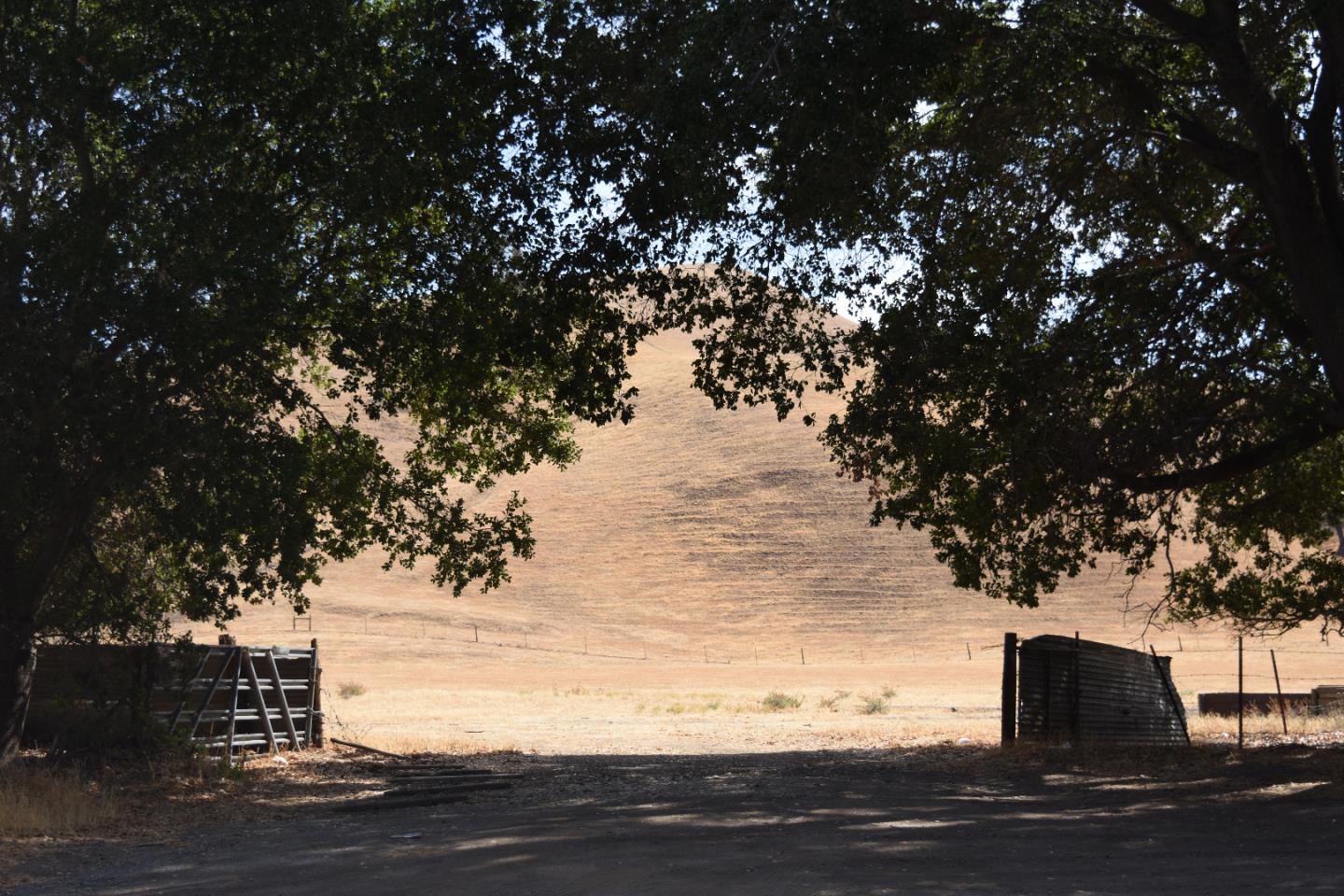 1700 Finley Road, SAN RAMON, California 94583, ,Lots And Land,For Sale,Finley Road,40973687