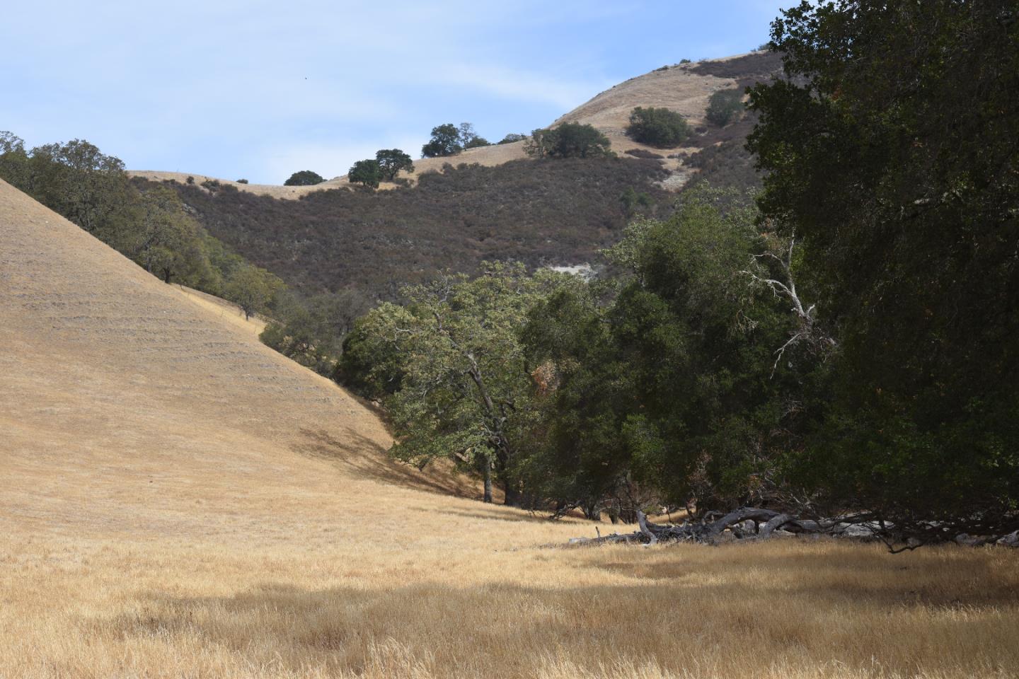 1700 Finley Road, SAN RAMON, California 94583, ,Lots And Land,For Sale,Finley Road,40973687