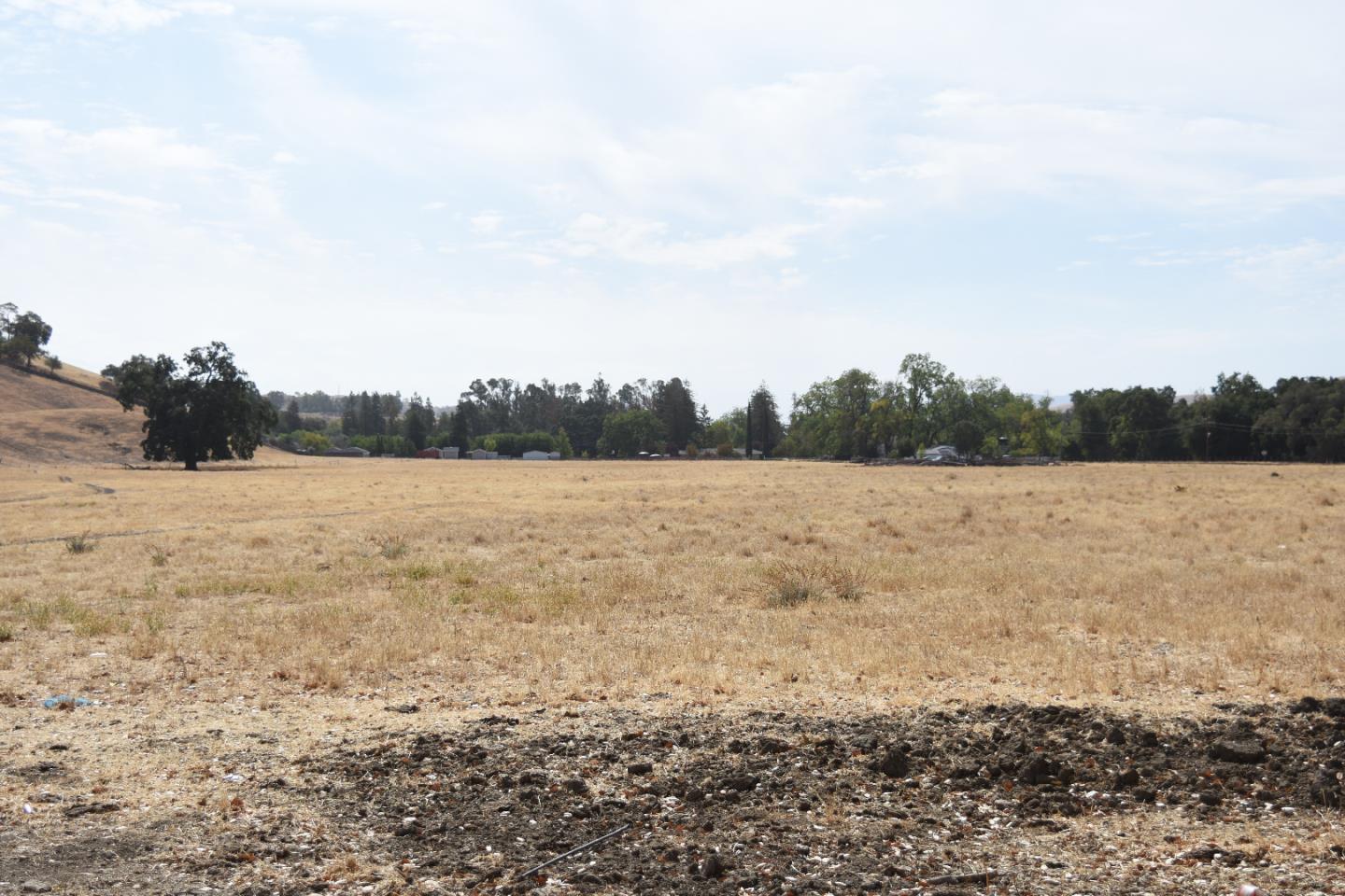 1700 Finley Road, SAN RAMON, California 94583, ,Lots And Land,For Sale,Finley Road,40973687
