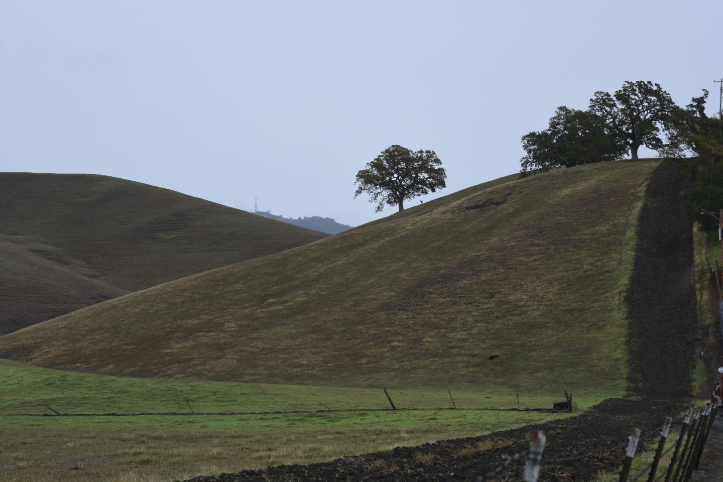1700 Finley Road, SAN RAMON, California 94583, ,Lots And Land,For Sale,Finley Road,40973687